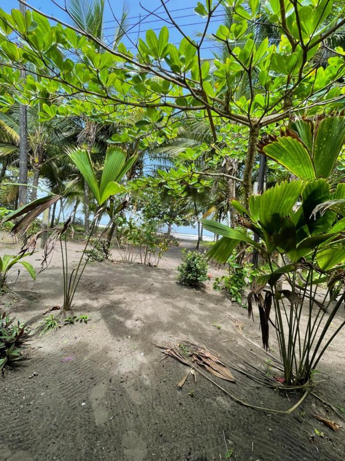Готель Casa Turtle Bogue Тортугеро Екстер'єр фото