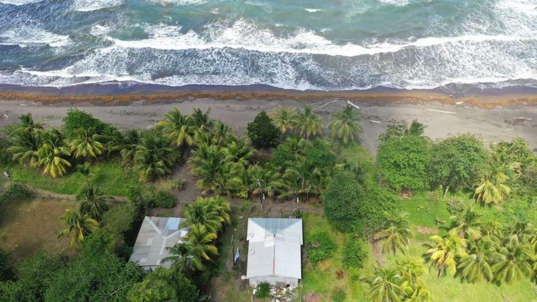 Готель Casa Turtle Bogue Тортугеро Екстер'єр фото